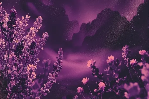 紫韵经典